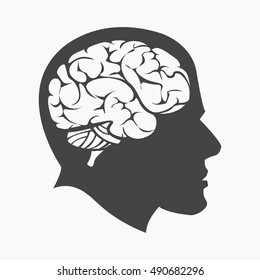 Brain icon cartoon. Single education icon from the big school, university set.