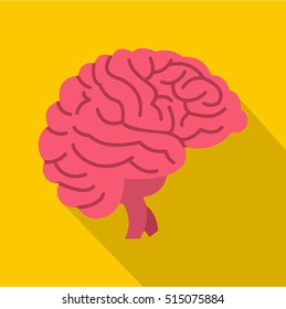 Brain icon. Flat illustration of brain vector icon for web