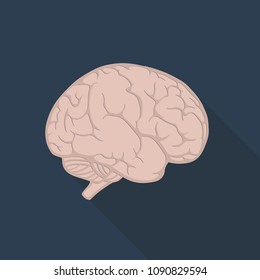brain icon in flat style with long shadow, isolated vector illustration on blue transparent background