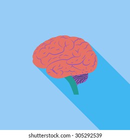 Brain icon. Flat vector related icon with long shadow for web and mobile applications. It can be used as - logo, pictogram, icon, infographic element. Vector Illustration.