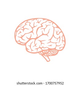 Brain Icon for Graphic Design Projects
