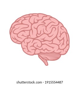 Brain icon for graphic design projects