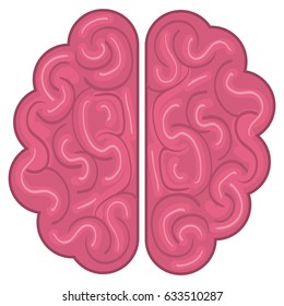 Brain icon. Human organ mind and science theme. Isolated design. Vector illustration