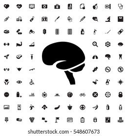 brain icon illustration isolated vector sign symbol