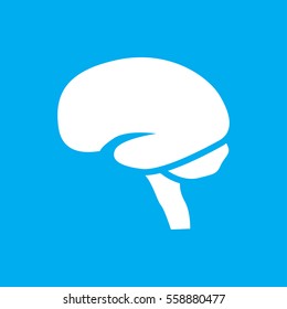 brain icon illustration isolated vector sign symbol