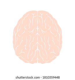 Icono de cerebro. Ilustración vectorial de órganos humanos internos aislada en blanco 