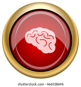 Brain icon. Internet button on white background. EPS10 vector.
