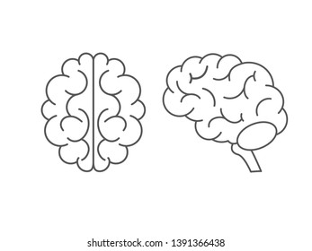 Brain icon isolated on white background. Brain icon in trendy design style. Brain vector icon modern and simple flat symbol for web site, mobile, logo, app, UI. Brain icon vector illustration, EPS10.