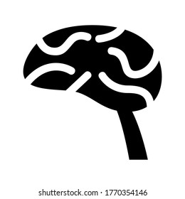 brain icon or logo isolated sign symbol vector illustration - high quality black style vector icons
