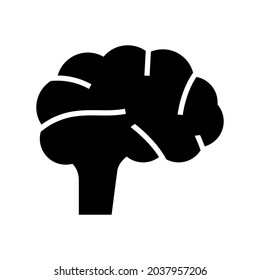 brain icon or logo isolated sign symbol vector illustration - high quality black style vector icons
