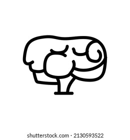 Icono del cerebro o logotipo símbolo de signo aislado ilustración vectorial sobre fondo blanco - Colección de iconos vectores de estilo negro de alta calidad