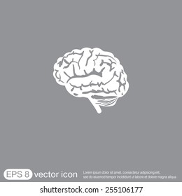 Brain icon. Mind and science
