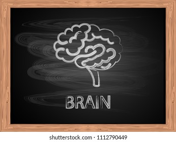 Brain icon on blackboard flat design vector Illustration.