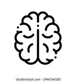 brain icon in outline style