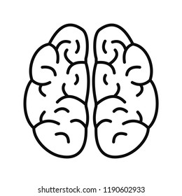 Brain icon. Outline brain vector icon for web design isolated on white background