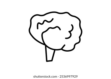Brain icon. Related to biologic. suitable for web site, app, user interfaces. Line icon style