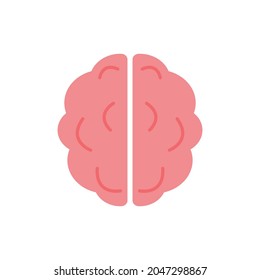 Brain icon. Brain seen from above. Flat design vector illustration isolated on white background.