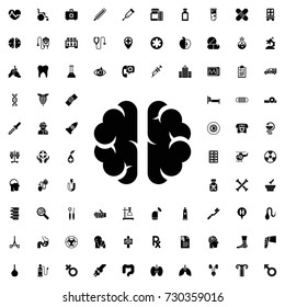 Brain icon. set of filled medicine icons.