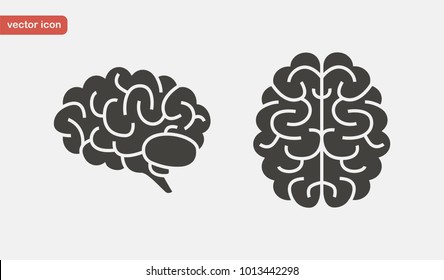 Brain Icon Set In Flat Style. Side And Top View. Vector Illustration.