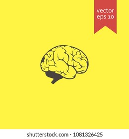 brain. brain icon. sign design. Vector EPS 10
