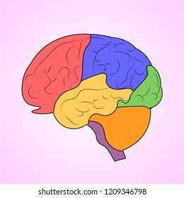 Brain icon vector design