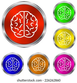 Brain icon - vector glossy colourful buttons
