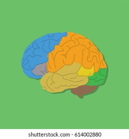 Brain icon, vector illustration design. Medicine and health care objects.