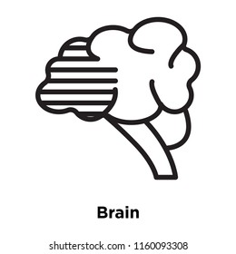 Brain icon vector isolated on white background, Brain transparent sign , line and outline elements in linear style