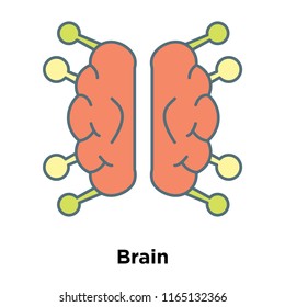 Vector de icono del cerebro aislado en fondo blanco, Signo transparente del cerebro