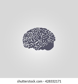 brain icon. brain vector. brain sign