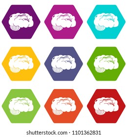 Brain icons 9 set coloful isolated on white for web
