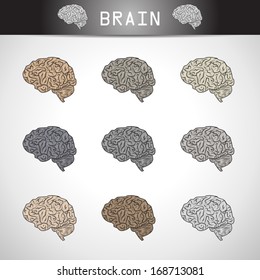 Brain Icons Set - Isolated On Gray Background - Vector Illustration, Graphic Design Editable For Your Design.   