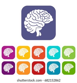 Brain icons set vector illustration in flat style in colors red, blue, green, and other