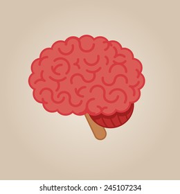 Brain illustration