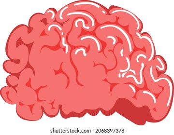 Brain illustration design Premium Vector