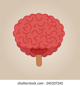 Brain Illustration: Front View