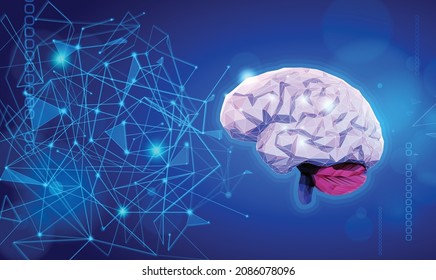 Brain illustration showing connections using lines and triangles for a modern and technologically advanced look.