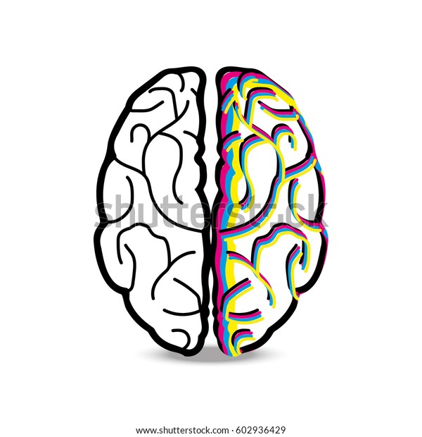 Brain Illustration Vector Color Line 스톡 벡터(로열티 프리) 602936429 | Shutterstock