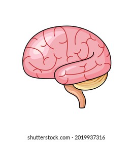 Brain images on a white background can be used for storytelling and education icons vector.