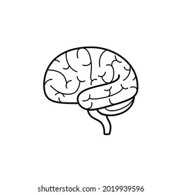 Brain images outline on a white background can be used for storytelling and education.