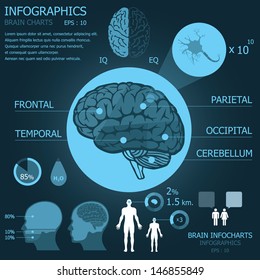 Brain Infocharts