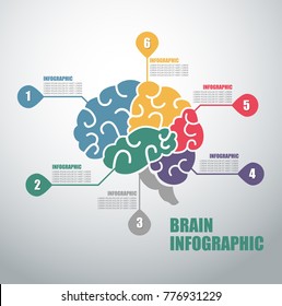 Brain Infographic,Infographic Health. Infographics.Infographics Vector Brain Design. Human Brain Anatomy Structure. 