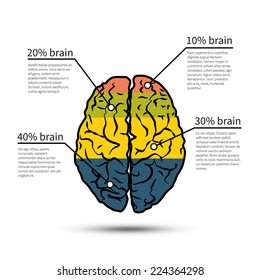 Diseño de infografías del cerebro. Diseño moderno diseño de flujo de trabajo de plantilla, diagrama, vector.