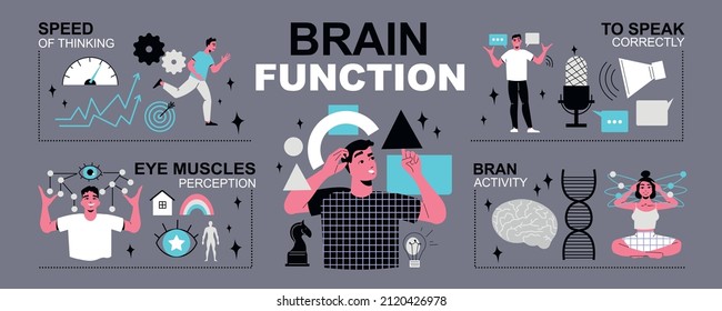 Brain infographics with editable text captions and characters of people with icons representing activities and functions vector illustration