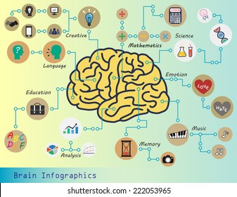 Brain Infographics (Brain function : Creative,Mathematics,Science,Emotion,Music,Memory,Analysis,Education,Language,etc.)