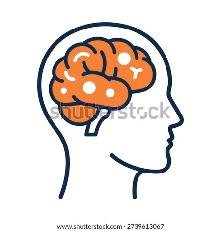 A brain inside a human head in profile