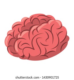 Brain intelligence cartoon isolated symbol vector illustration graphic design