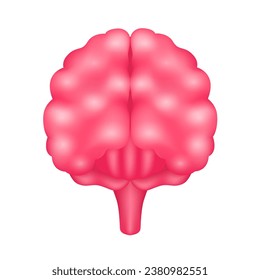 Modelo de anatomía interna de órganos cerebrales aislado en un fondo blanco. Concepto de medicina y ciencia. Ilustración vectorial de icono 3D. Para anuncios sobre atención médica.