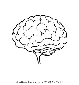 Brain. Internal organs. Icon on a white background. One line