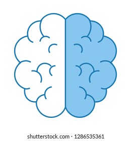 brain isolated icon